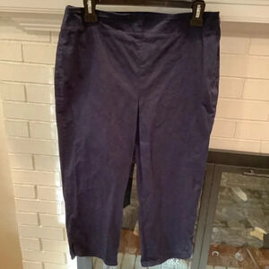 Talbots Sz 10 Flat Front Navy Blue Chino Crops
